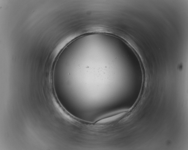 X0000112421293200908211137