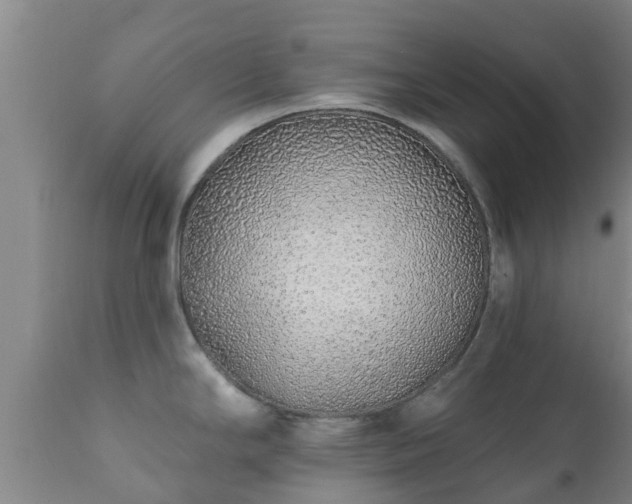 X0000112421294200908211137