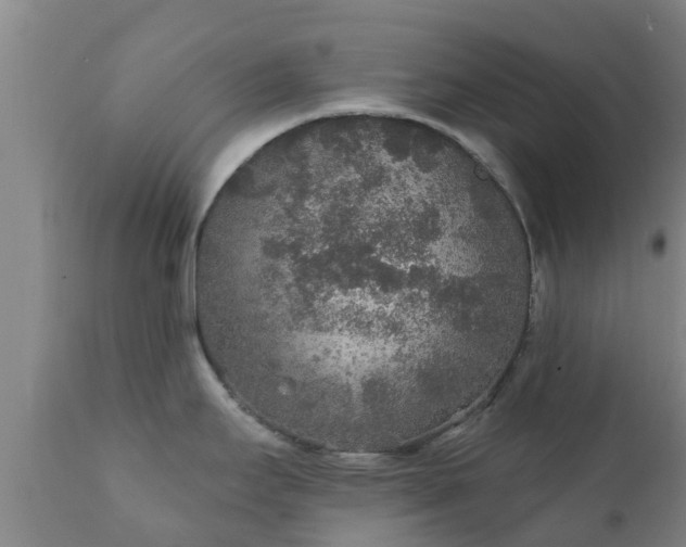 X0000112421295200908211137