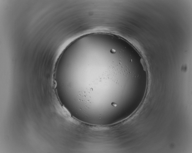 X0000112421296200908211137