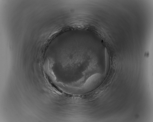 X0000112421297200908211136