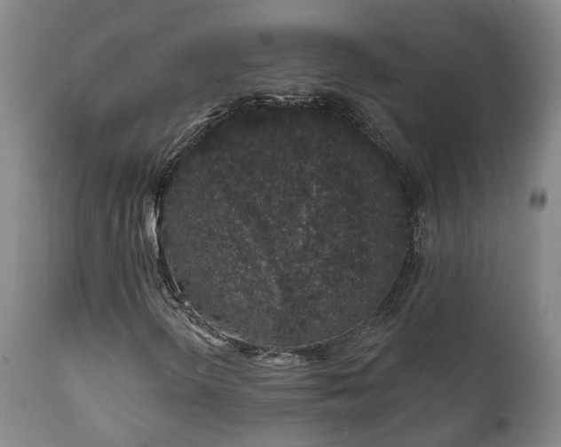 X0000112421298200908211136