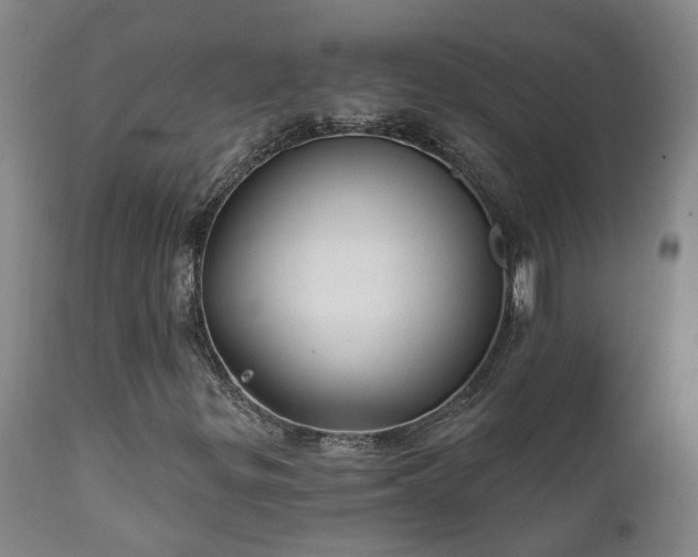 X0000112421299200908211136