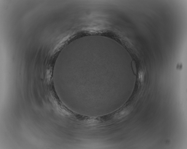 X0000112421300200908211136