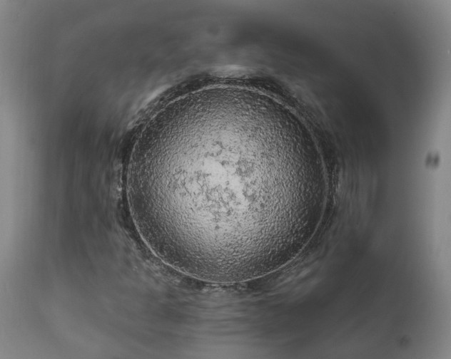 X0000112421301200908211136