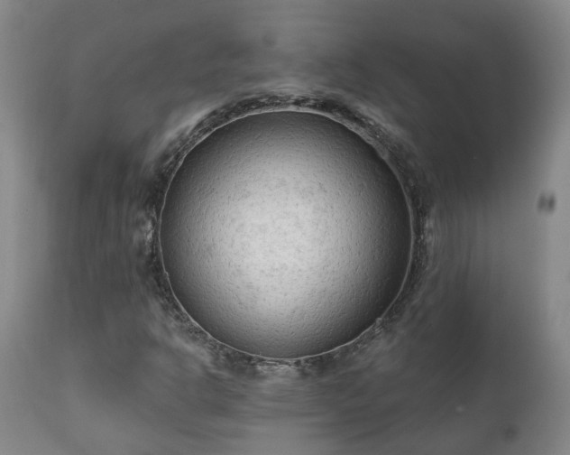 X0000112421302200908211136