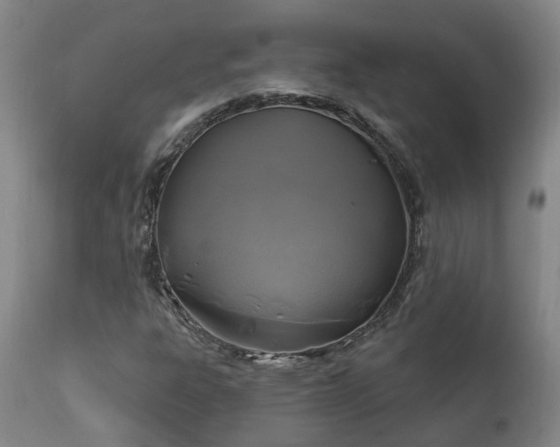 X0000112421303200908211136