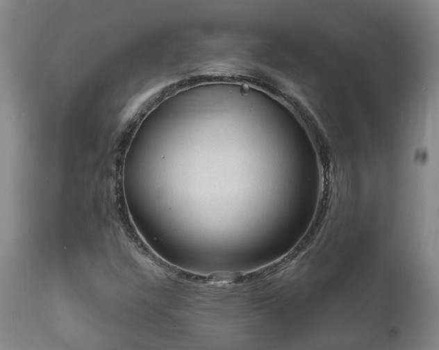 X0000112421304200908211136