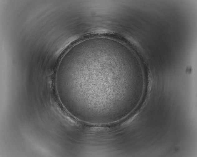 X0000112421305200908211136