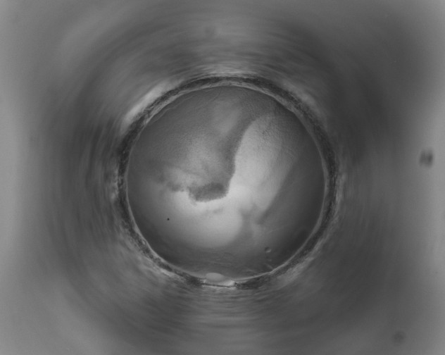 X0000112421306200908211136