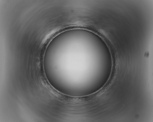 X0000112421307200908211136