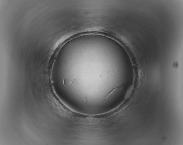 X0000112421308200908211136