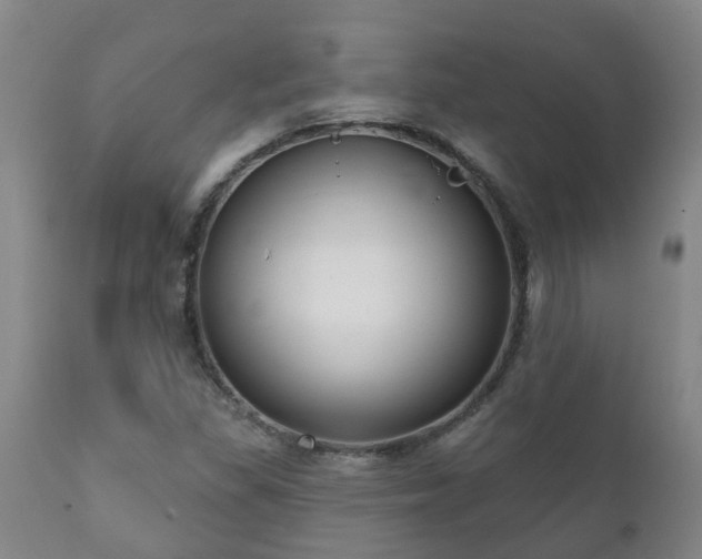 X0000112421309200908211136