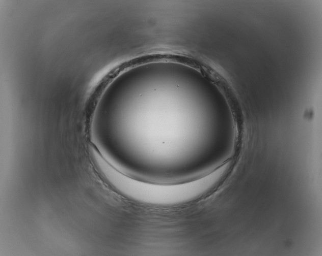 X0000112421310200908211136