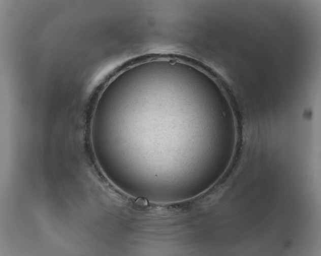 X0000112421311200908211136