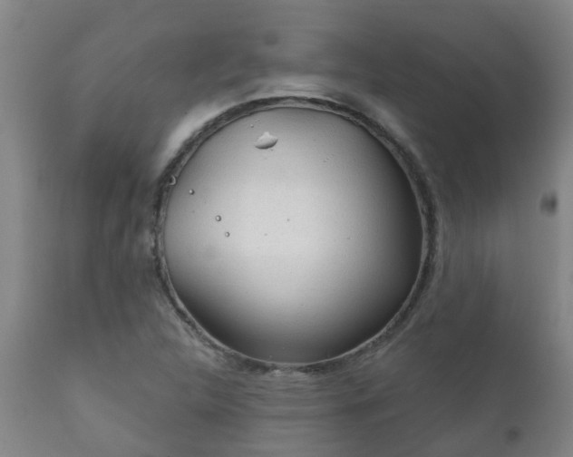 X0000112421312200908211136