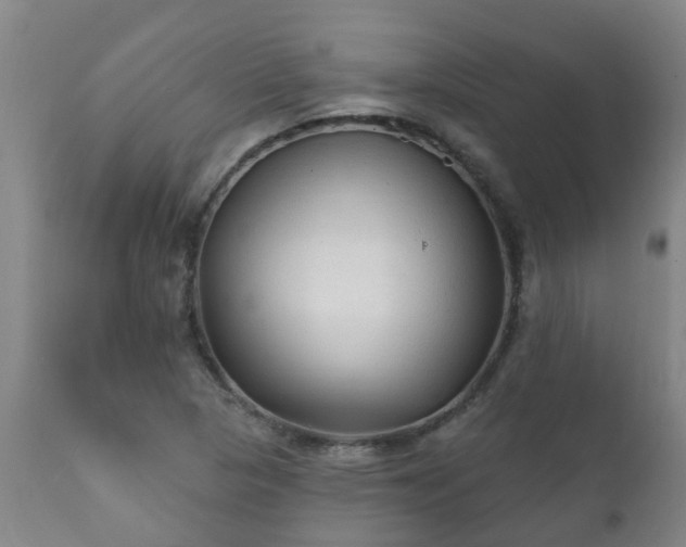 X0000112421313200908211136