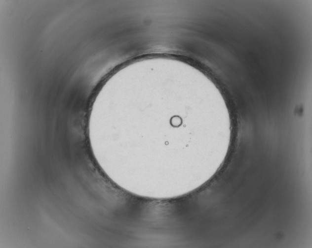 X0000112421314200908211136