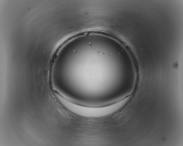 X0000112421316200908211136