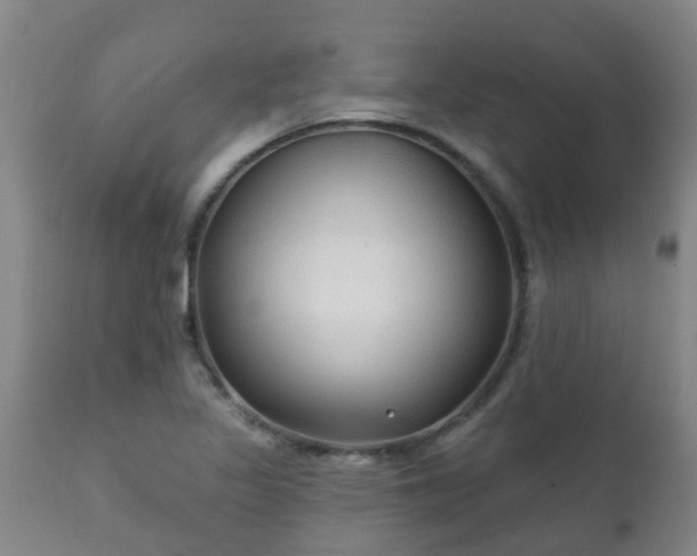 X0000112421317200908211136