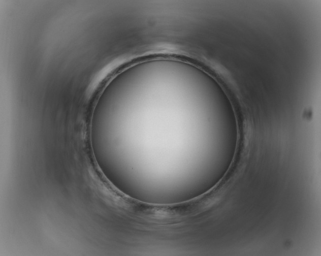 X0000112421318200908211136