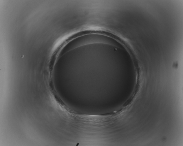 X0000112421319200908211136