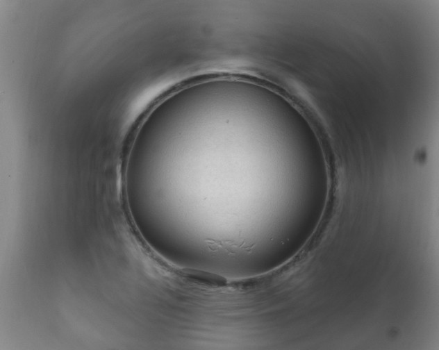 X0000112421320200908211136