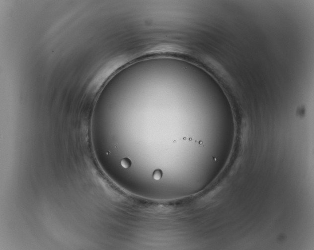 X0000112421321200908211136