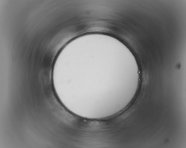 X0000112421322200908211136