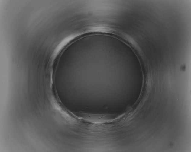 X0000112421323200908211136