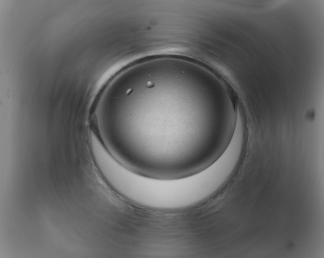 X0000112421324200908211136