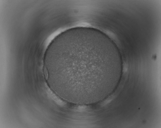 X0000112421326200908211136