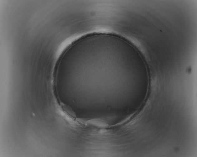 X0000112421327200908211136