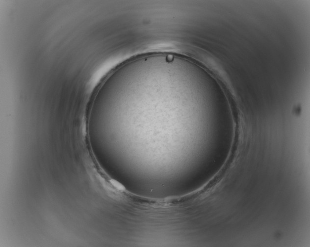 X0000112421328200908211136