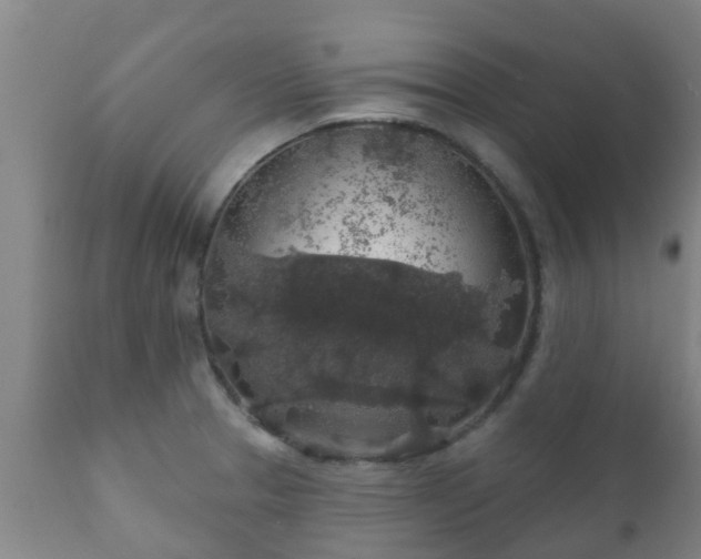 X0000112421329200908211136