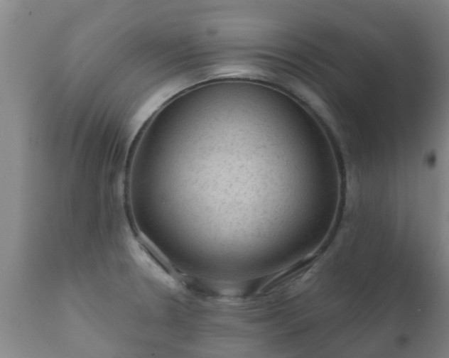 X0000112421330200908211136