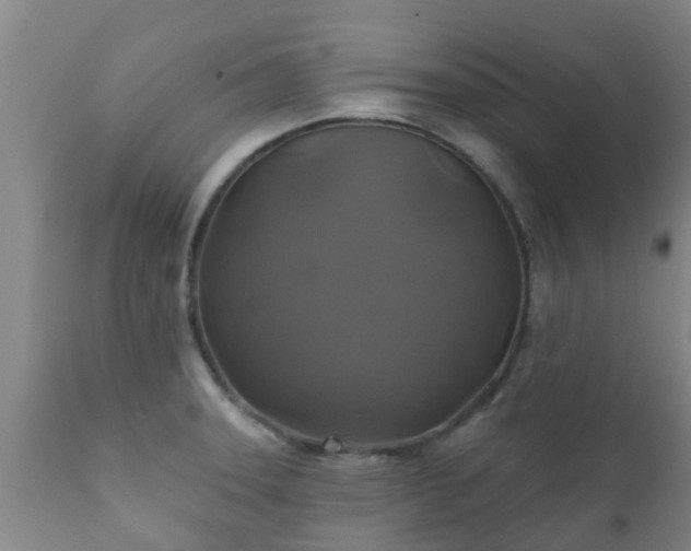 X0000112421331200908211136