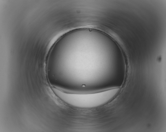 X0000112421332200908211136