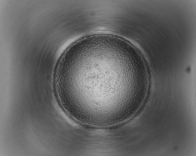 X0000112421333200908211137