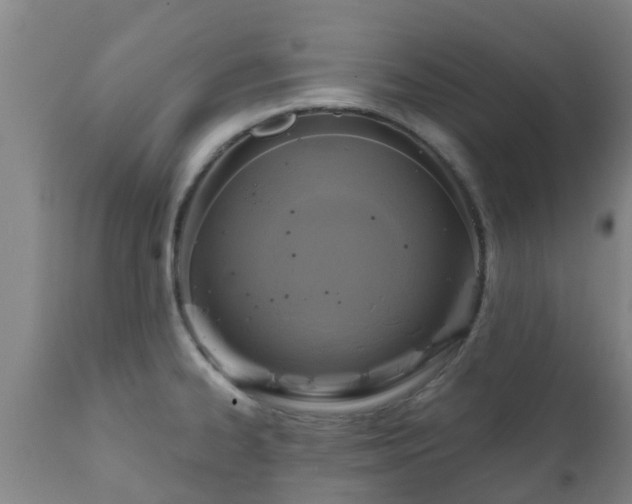 X0000112421334200908211137