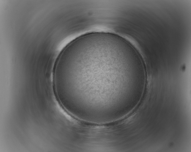 X0000112421335200908211137