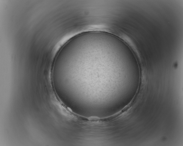 X0000112421336200908211137