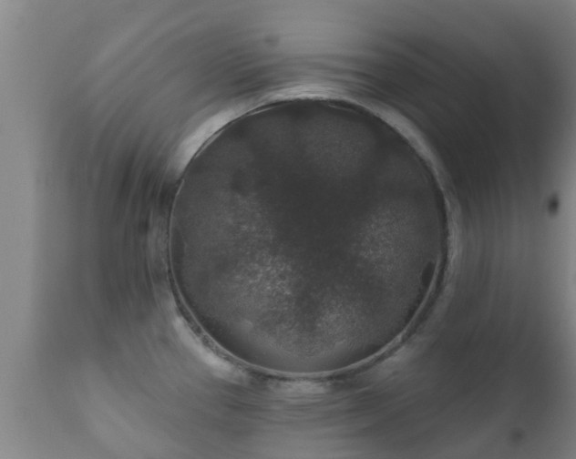 X0000112421337200908211137