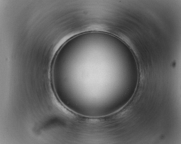 X0000112421339200908211137