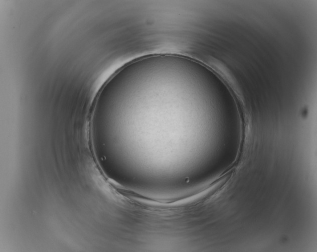 X0000112421340200908211137