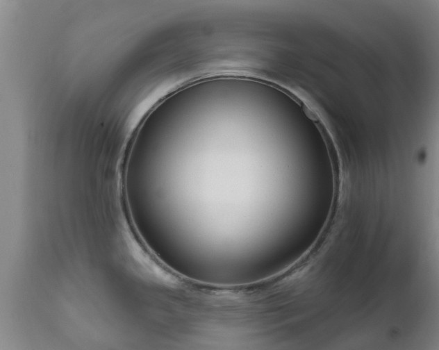 X0000112421341200908211137