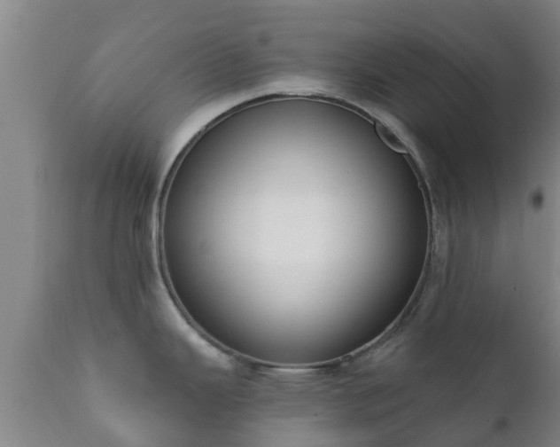 X0000112421343200908211137