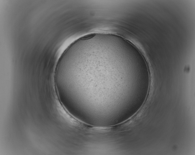 X0000112421344200908211137