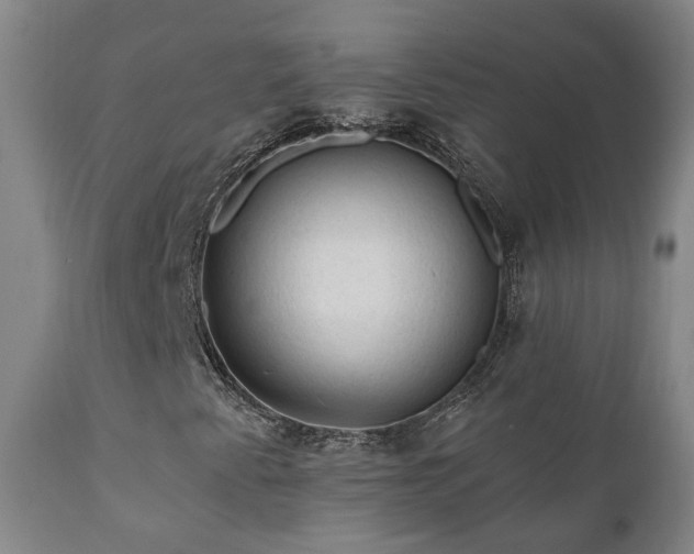 X0000112421345200908211136