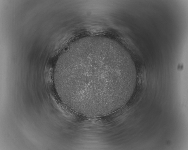 X0000112421346200908211136